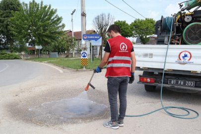 Düzce'de ilaçlama çalışmaları devam ediyor