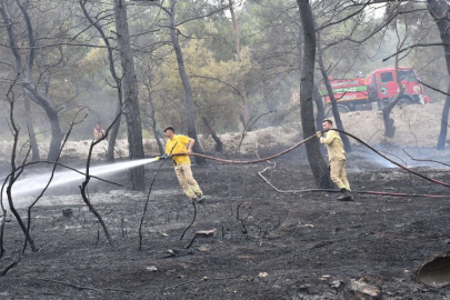 Manisa İtfaiyesi'nin yangın mücadelesi sürüyor