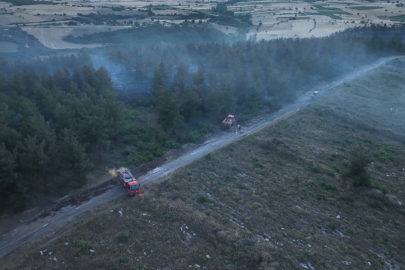 Balıkesir İtfaiyesi Orman Yangınına Hızlı Müdahale Etti