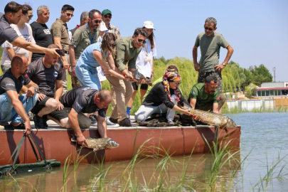 Doğa tutkunları Gölpark Fest'te buluştu