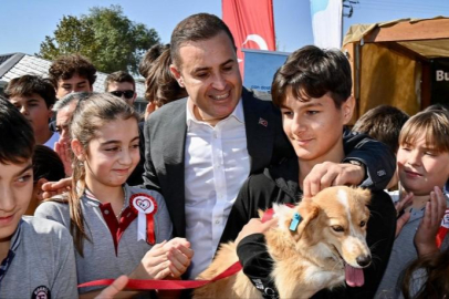 Balıkesir Büyükşehir, Sokak Hayvanlarına Sahip Çıkmayı Sürdürüyor