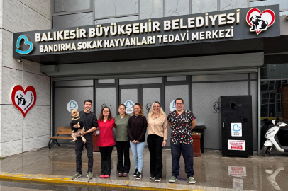 BBB, Sokak Hayvanları İçin 35 Milyon TL’lik Destek Sağladı